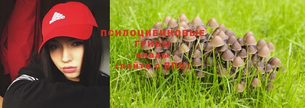 стаф Володарск