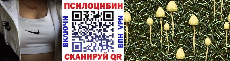 mega   Исилькуль  Псилоцибиновые грибы GOLDEN TEACHER 